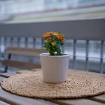 1Bd - Deer Traveler Central Apt