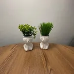 Roua Mat
