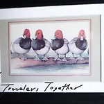 4 Travelers Together