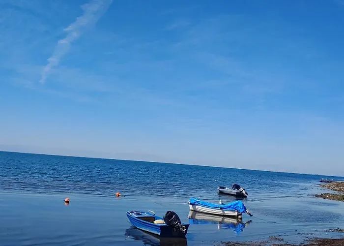 Hedonist Near The Sea