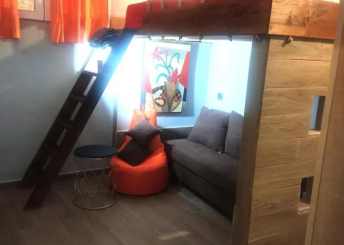 Tulip Mini Studio