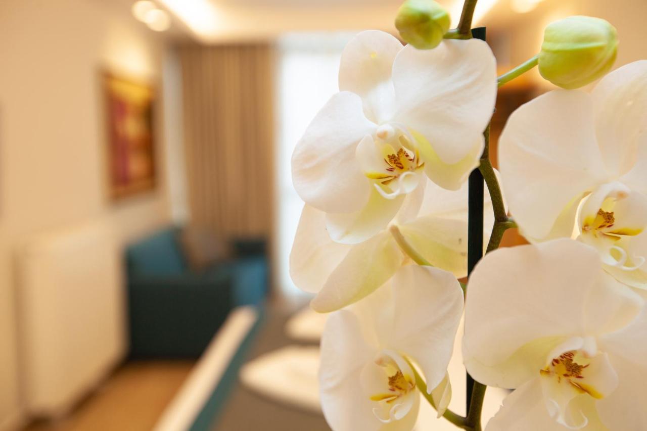 No21 Luxury * Thessaloniki