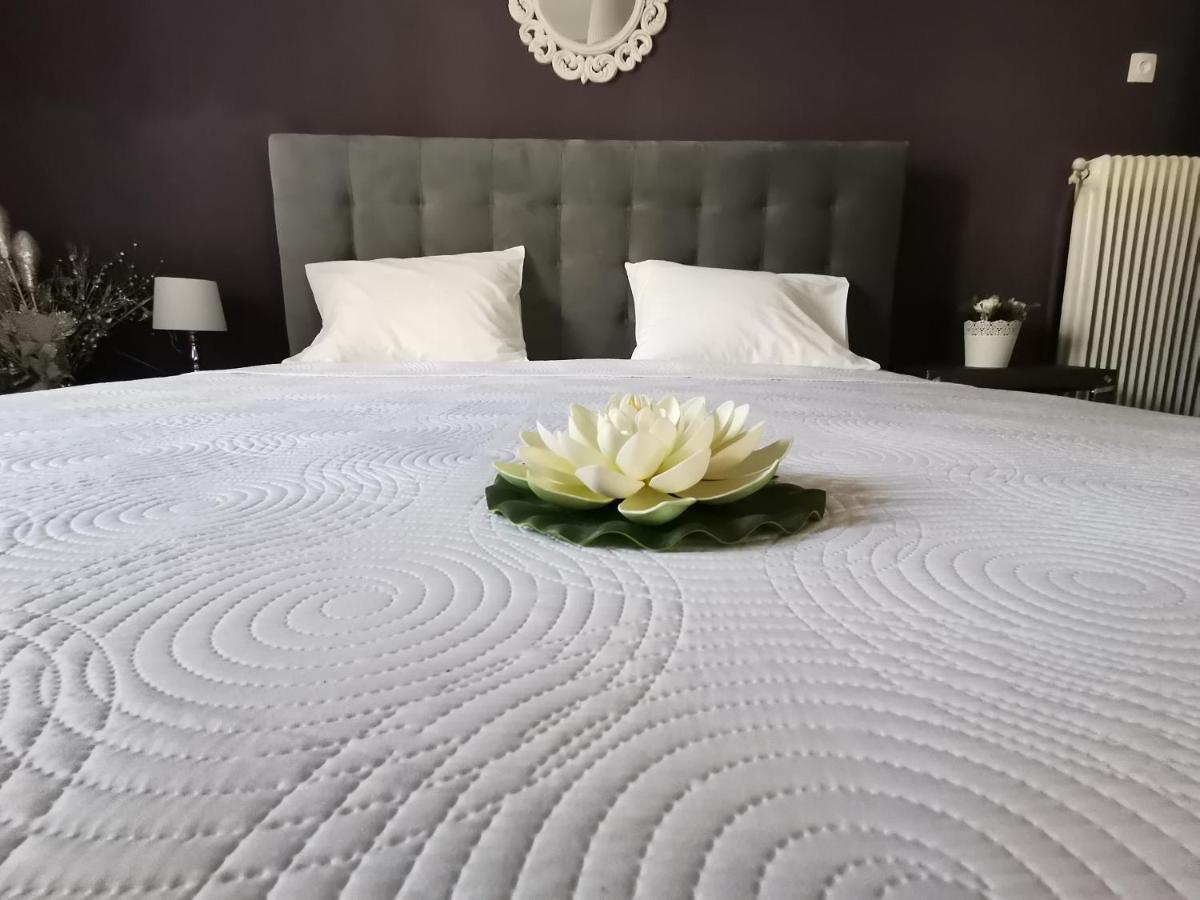 Apartment Oasis Luxury Detached House In With Hydromassage