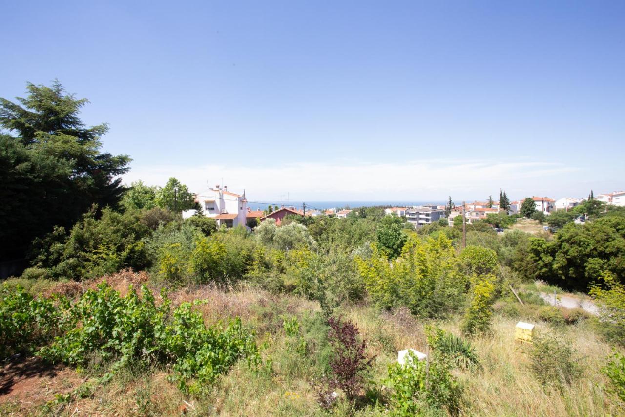 Villa Hillock: Traditional Luxury With Garden For Gatherings
