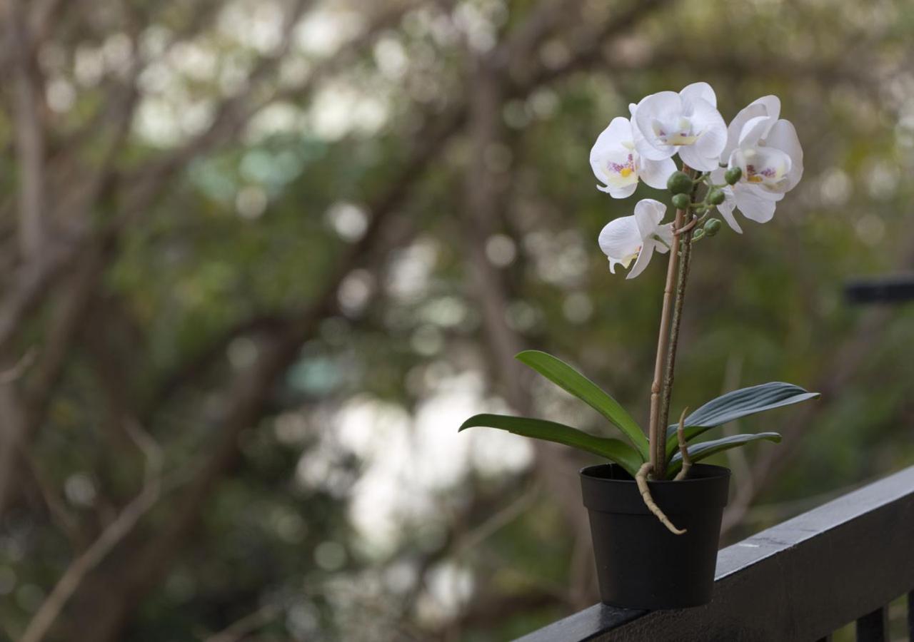 Houseloft Harmony Gardens * Selanik