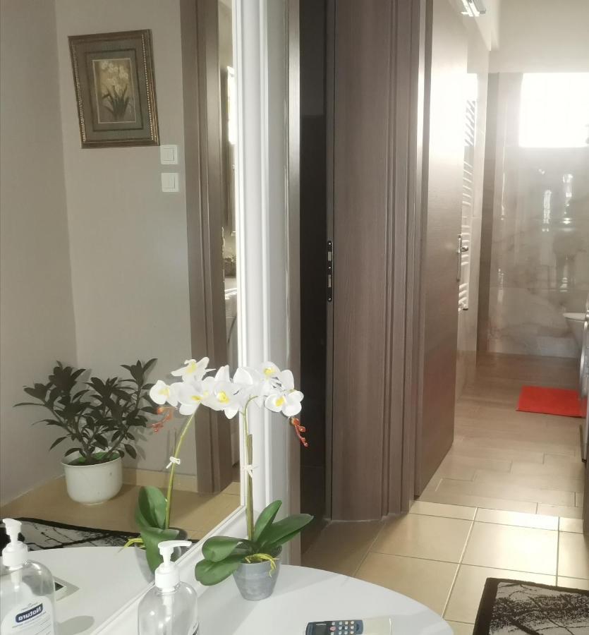 Oasis Luxury Detached House In With Hydromassage Apartment Thessaloniki