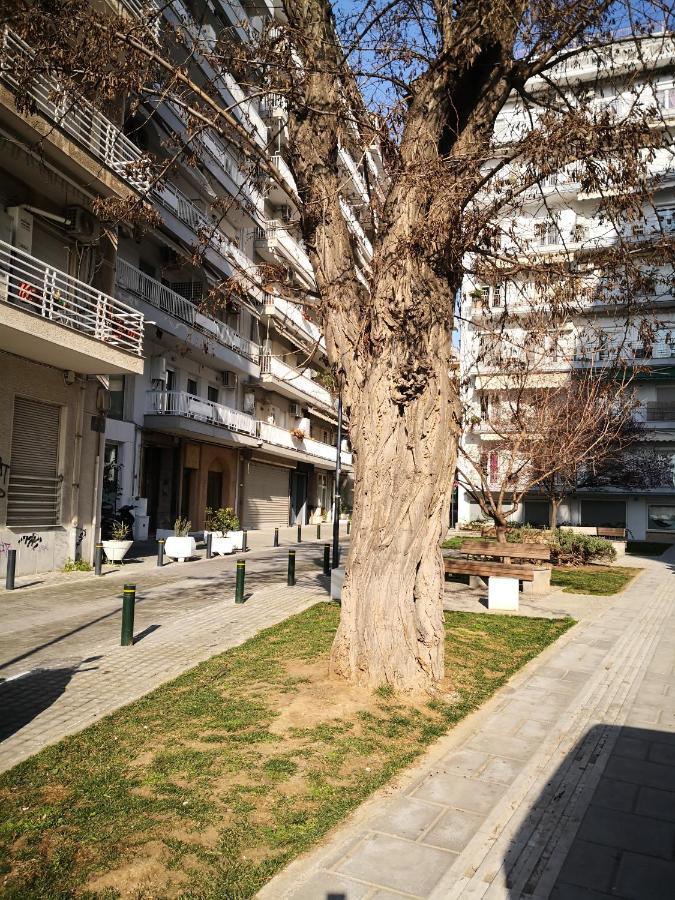 Effrosini Sea & Center Appartement *