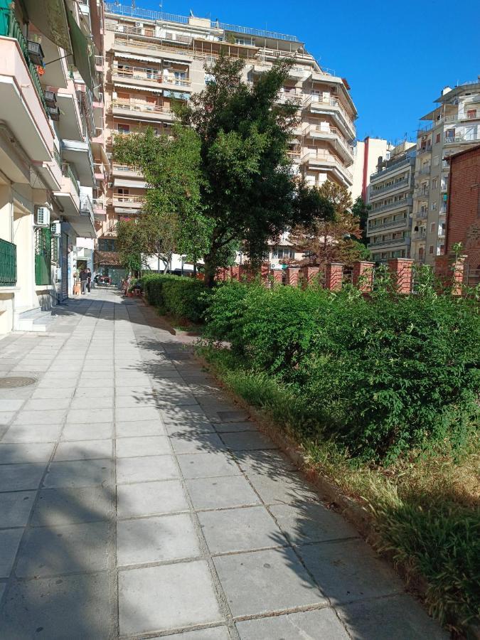 Appartement Nesting Ramblers Skg #1 *