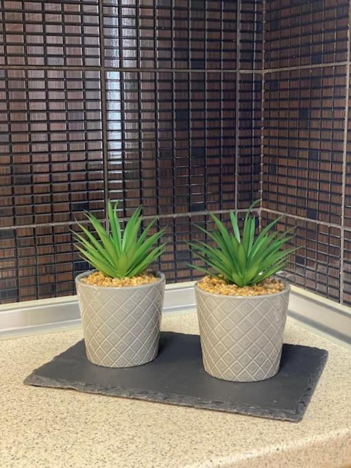 Apartment Garden Boutique *