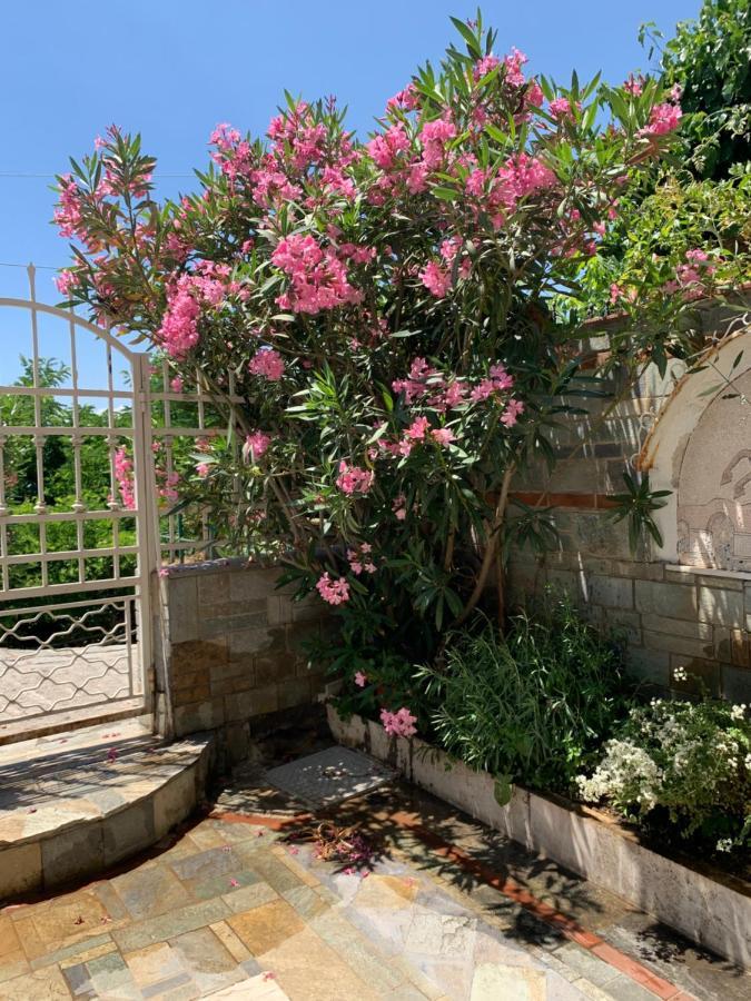 Gemuetliches In Ano Poli Appartement