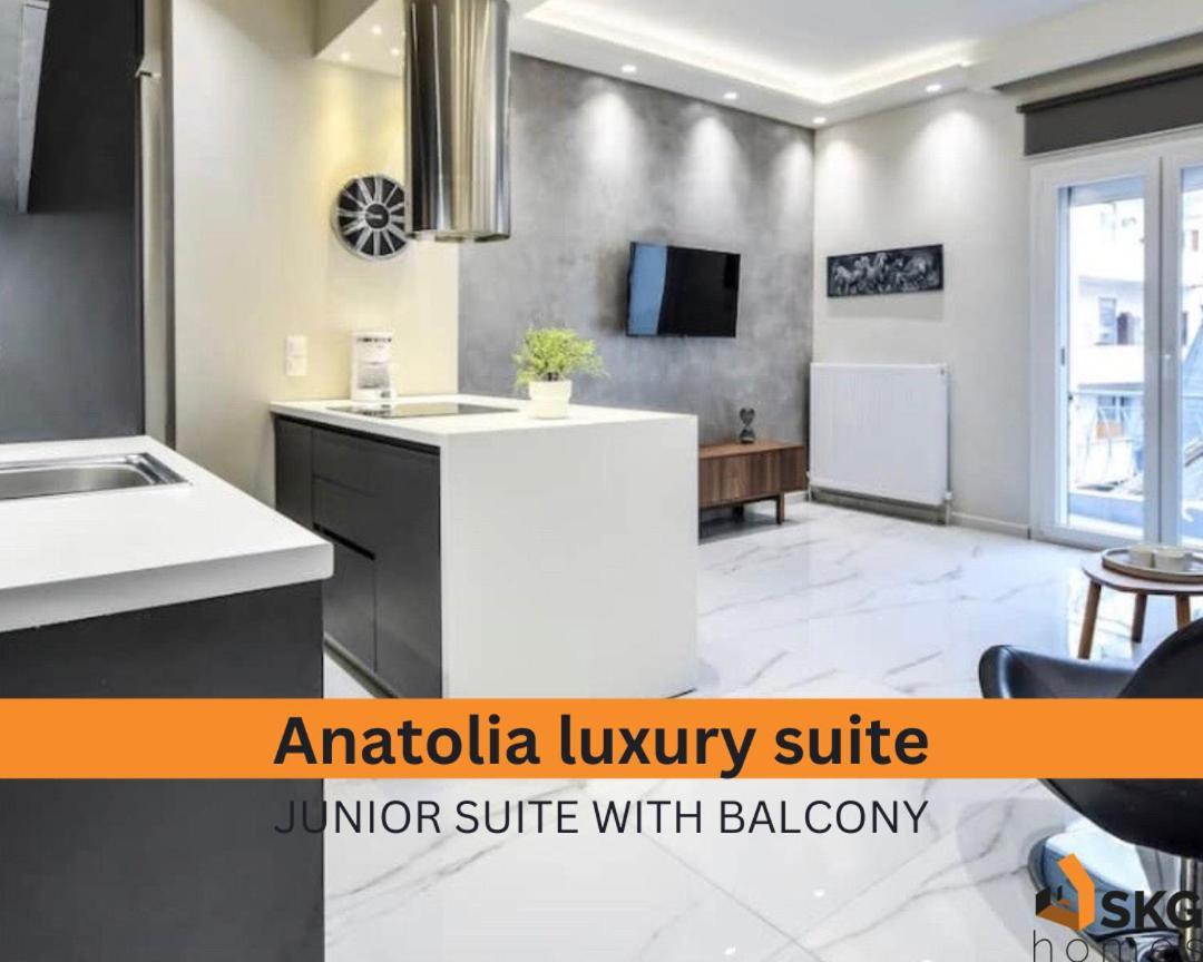 #skgh Anatolia & Amaryllis -nearhelexpo Apartment