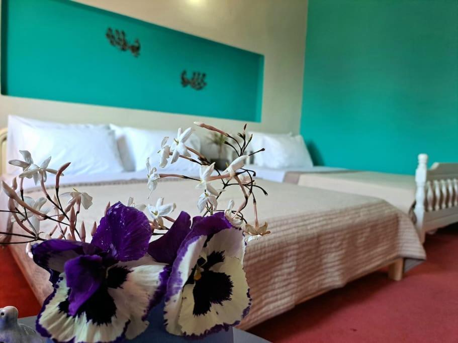 Elenis 190sqmeter With Private Parking And Garden 10min Away From Centre Villa