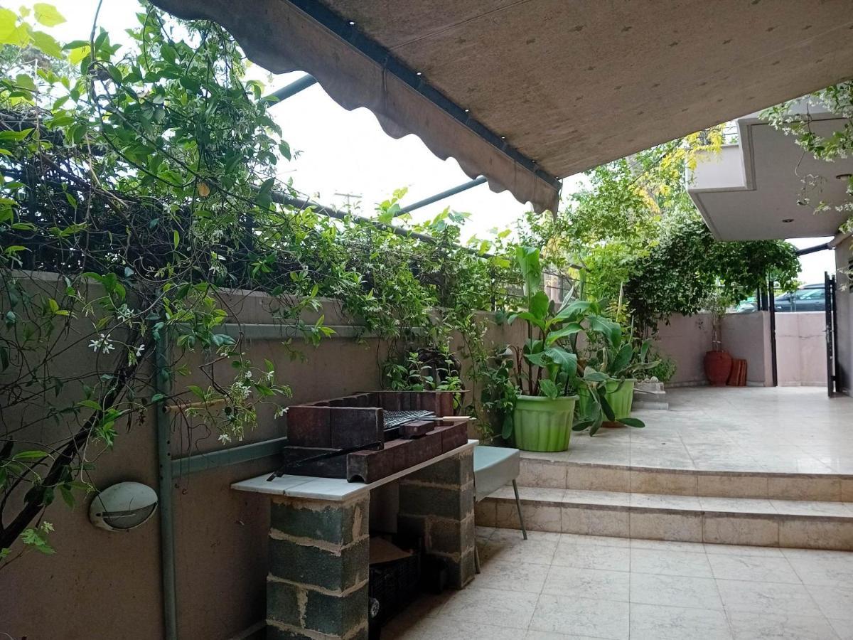 Stella's Jasmine