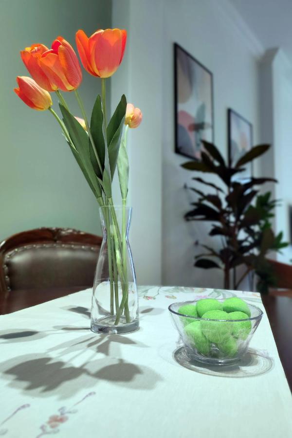 Estia Apartment, Cozy, Spacious, Sunny, 2 Rooms-5 Beds Daire