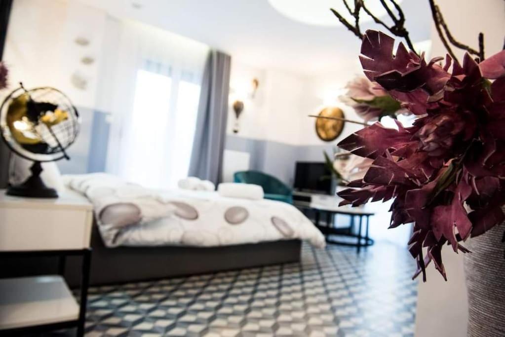 Apartamento Petit 2