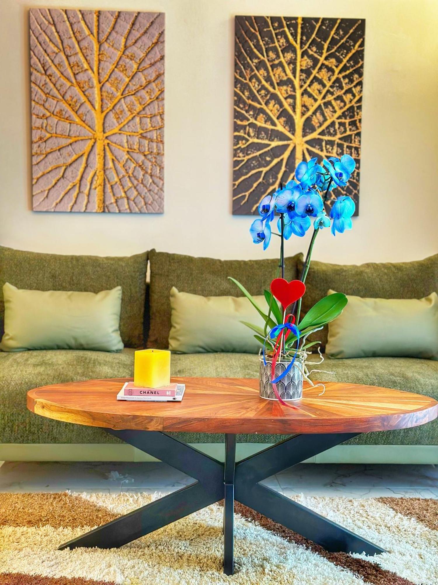 Psimithefto Luxury Apartamento *