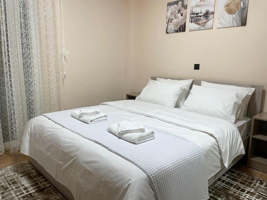 Appartement The Modern