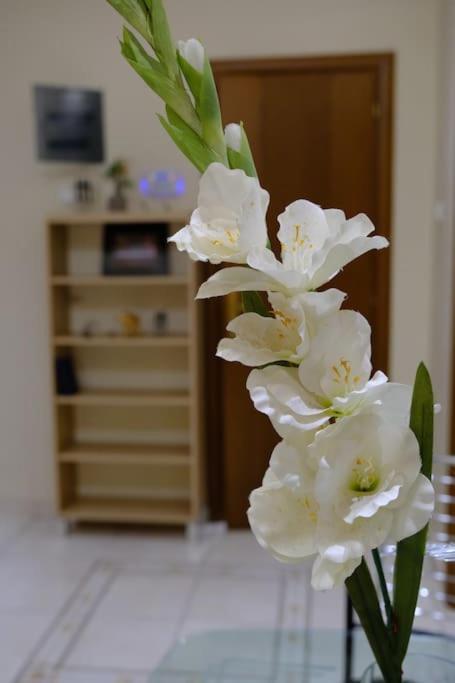 White Tower Office-apartment *