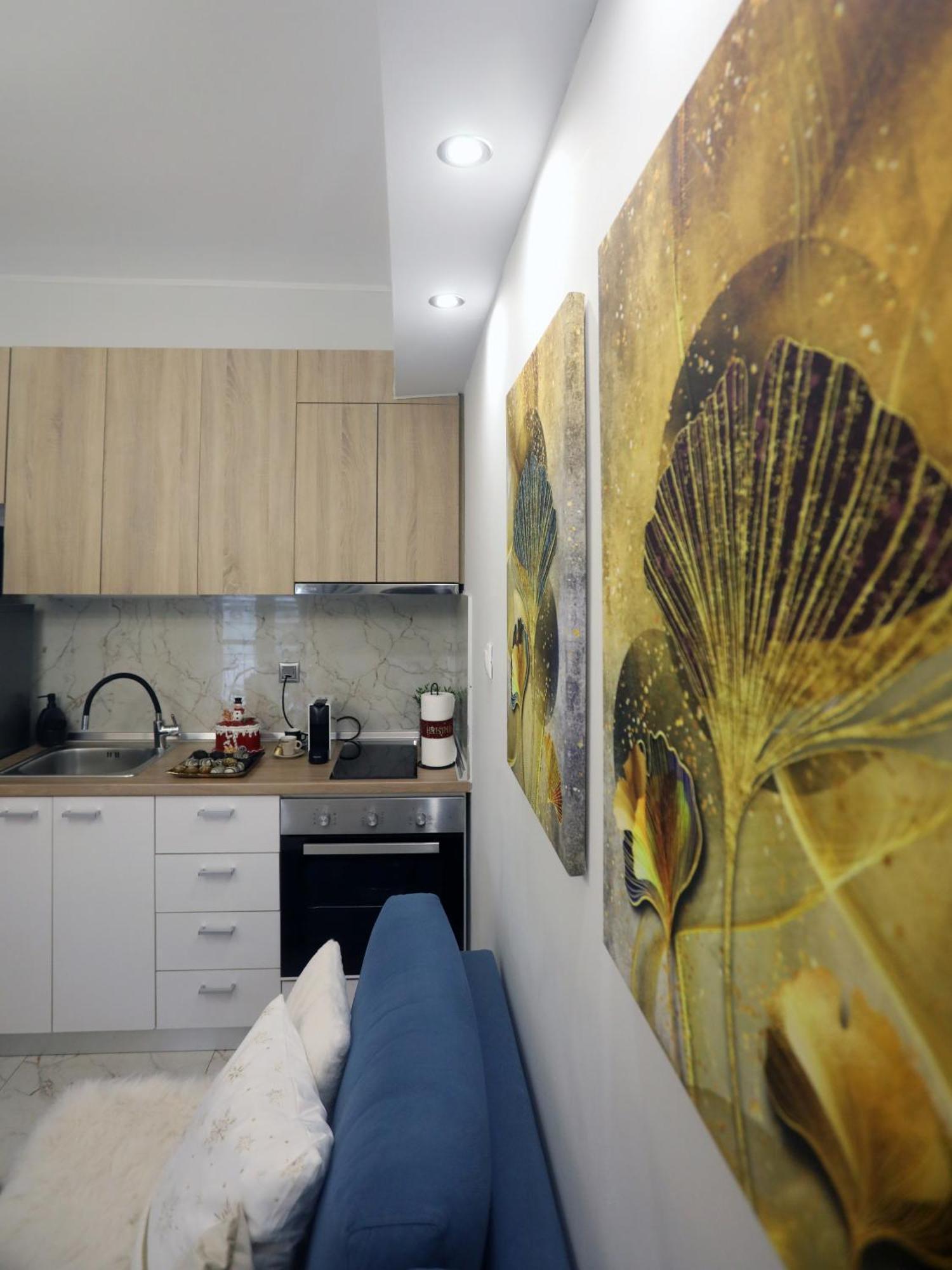 Apartamento Psimithefto Luxury *