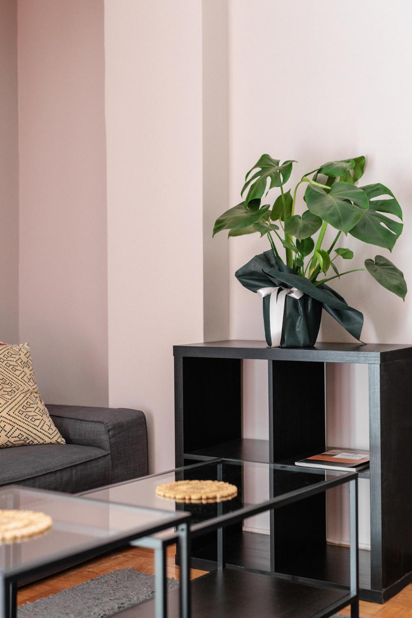 Apartment Eca *