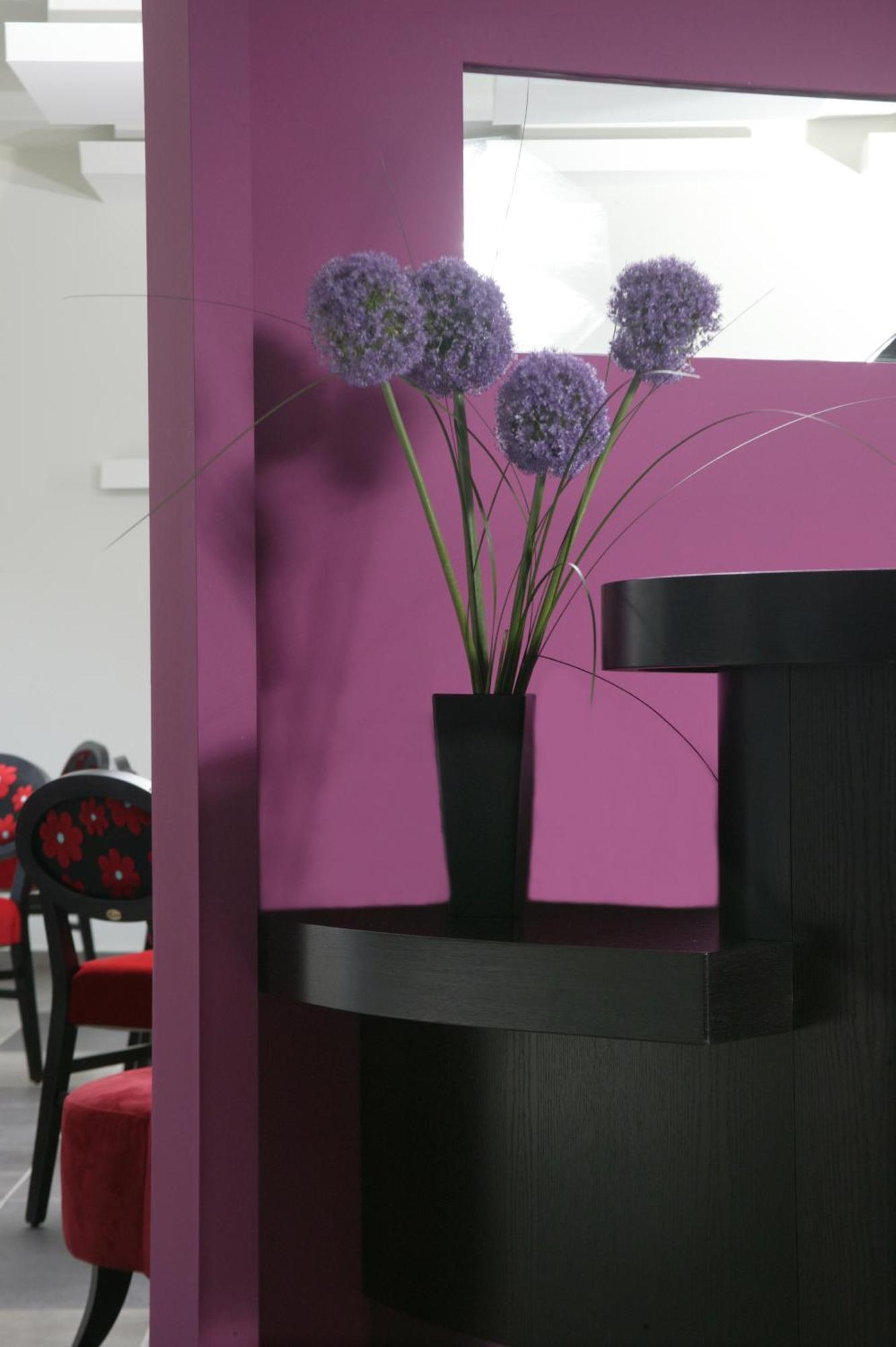 Hotel Anessis
