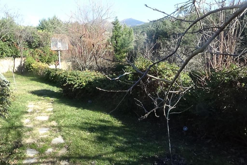 κατοικία με θέα στο δάσος