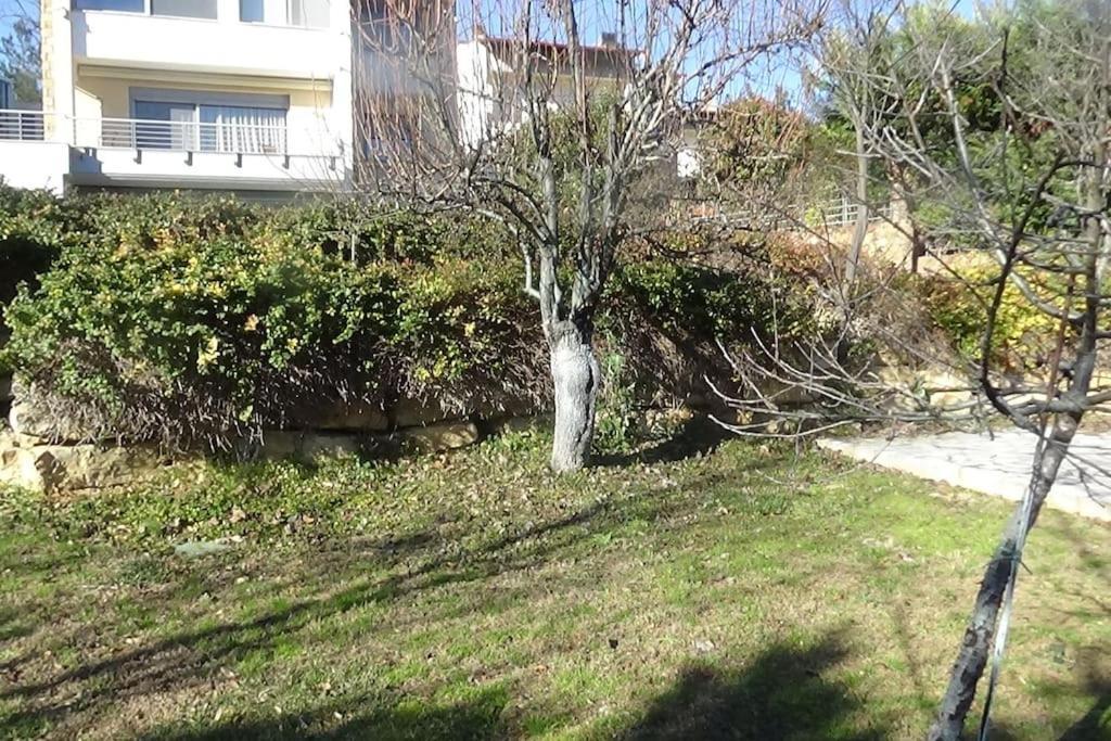 Villa κατοικία με θέα στο δάσος