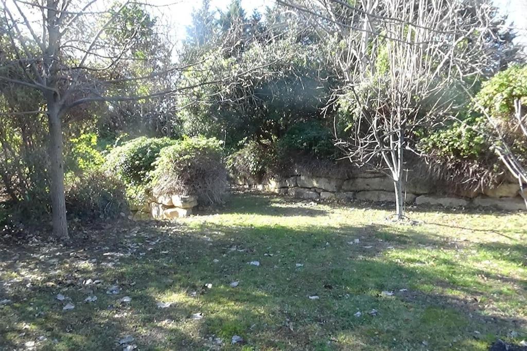 Villa κατοικία με θέα στο δάσος