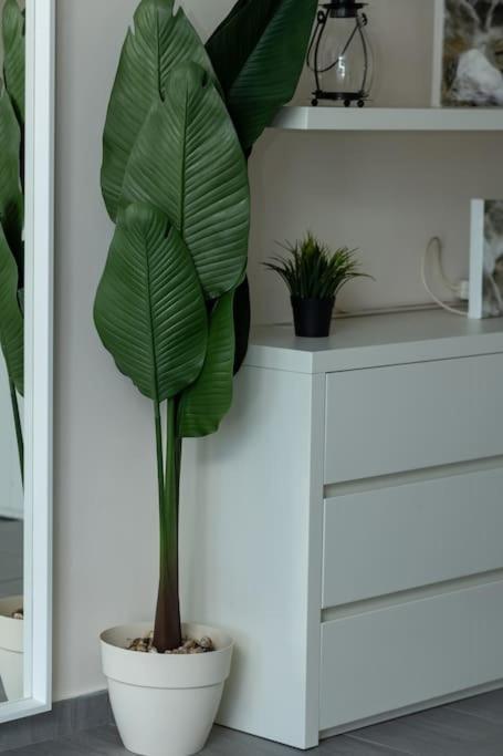 Deko Penthouse Apartment