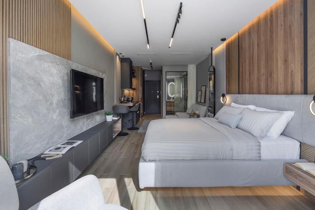 Aristotelian Virtues - Sophia Apartment *
