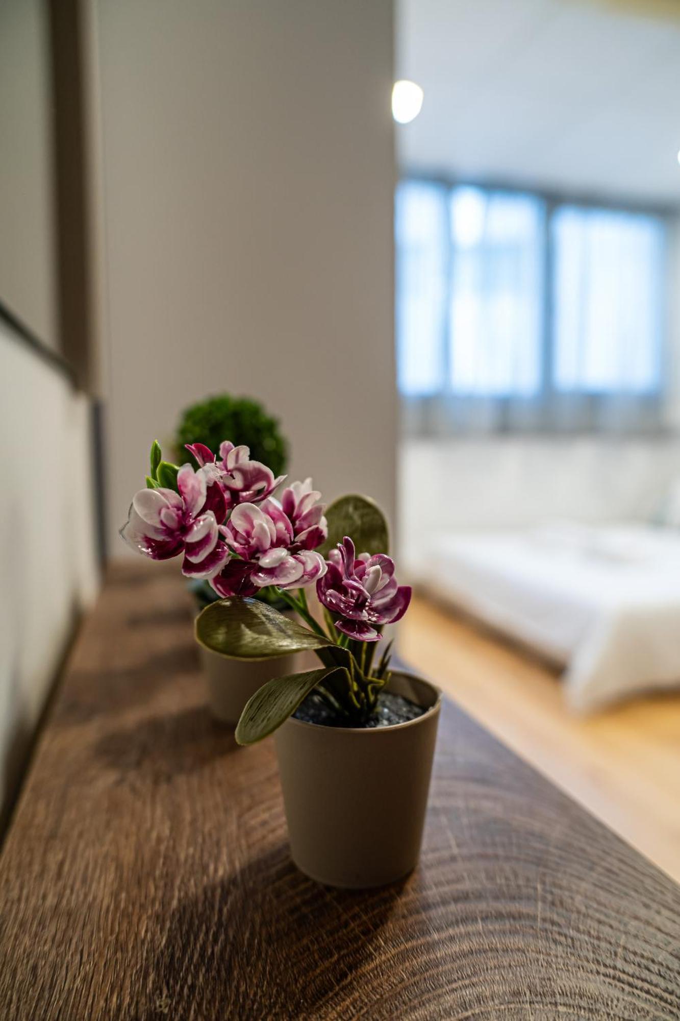 Feel Greek Hospitality #θ010 Apartamento *