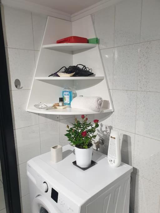 Manolis House Apartment *