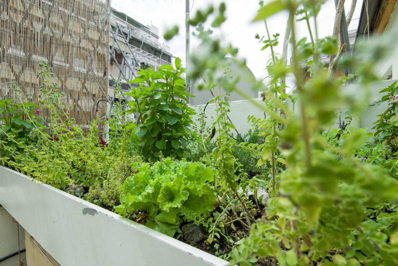 Apartment Eco Escape Rooftop *