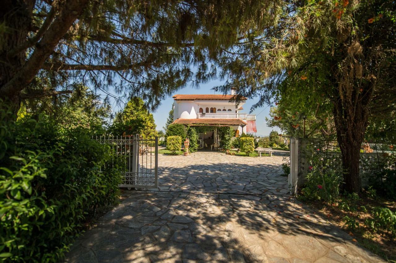 Ampelos Thessaloníki