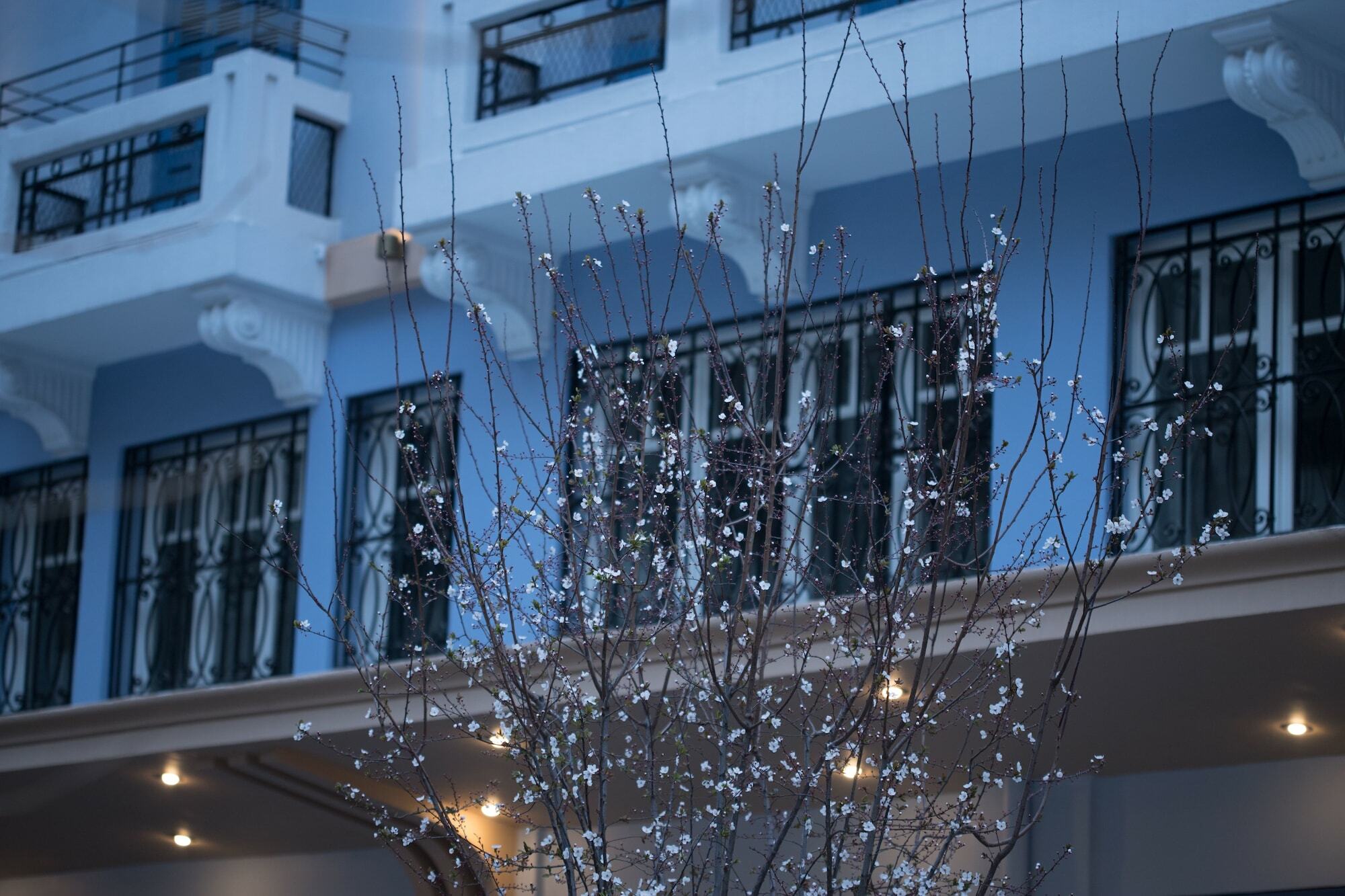 Hotel Bahar Boutique
