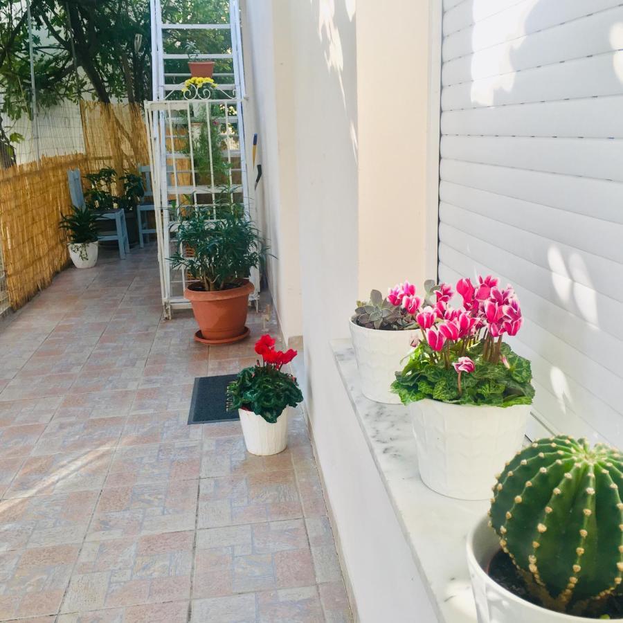 Oasis Luxury Detached House In With Hydromassage Apartment Thessaloniki