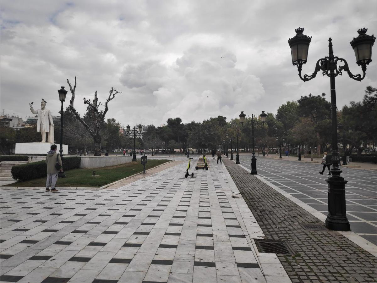 Aristotelis Cozy And Playful At Forum Daire *