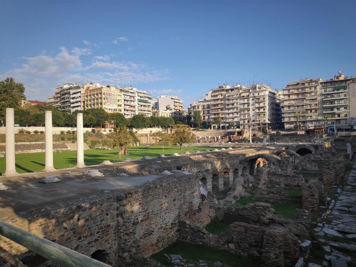 Aristotelis Cozy And Playful At Forum Daire *