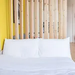 #Wonder Studio By Halu! Apartments