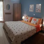 Central Apartment