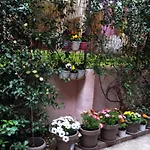 Garden House/Thessaloniki/Wifi