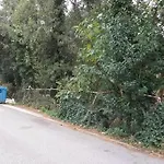 Forest Apartment Salonica