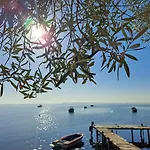 Dimitra\'S Home