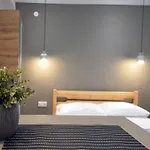 Luxury Suites Collection