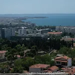 Urban View