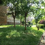 New Studio With Backyard