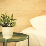 High-End Luxury Apartment 2