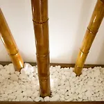 Thess Nature Apartment