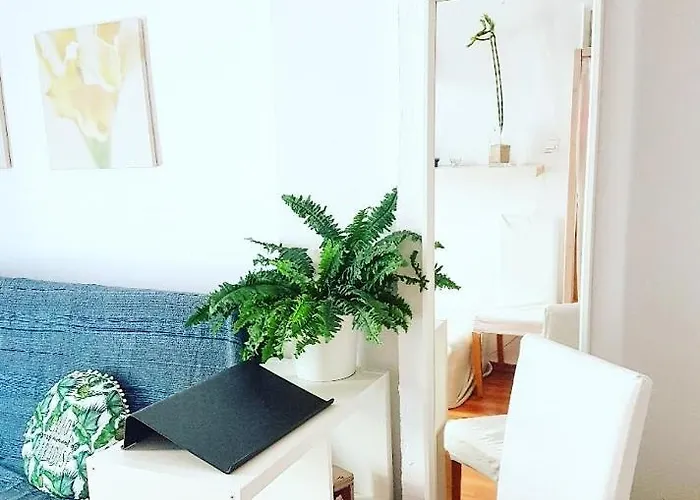 Studio Rotonda