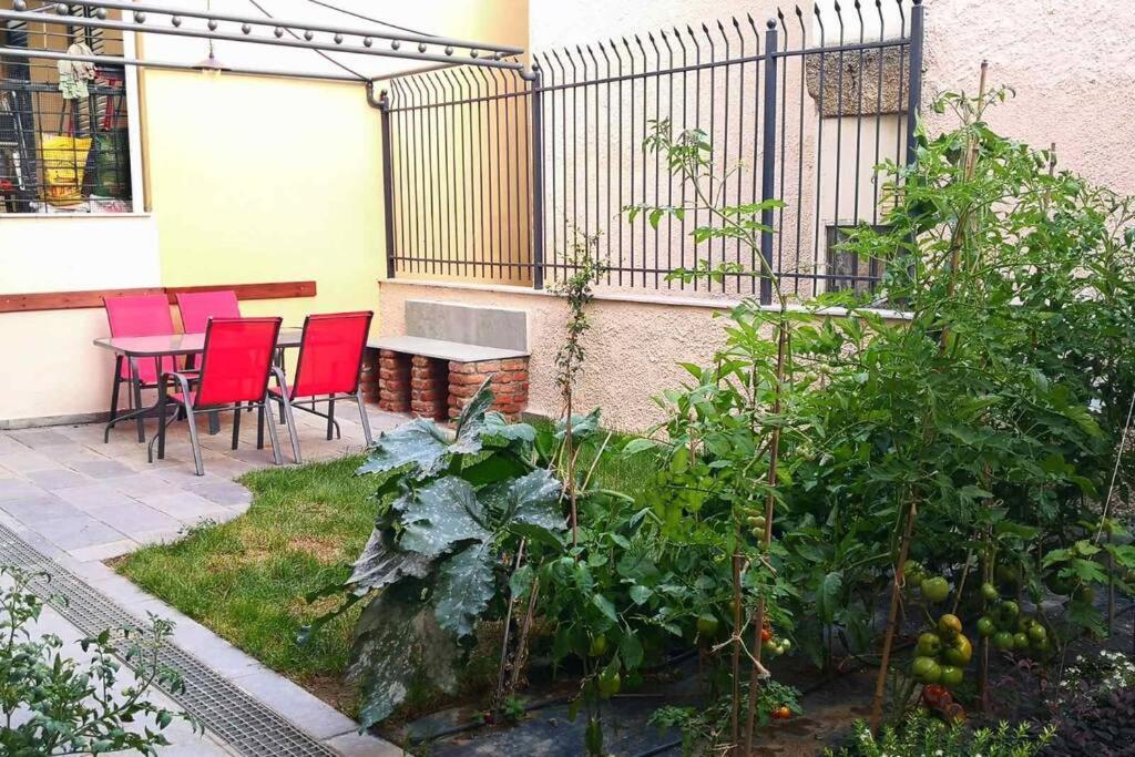 Cozy House With Garden In The Old Town Daire Selanik
